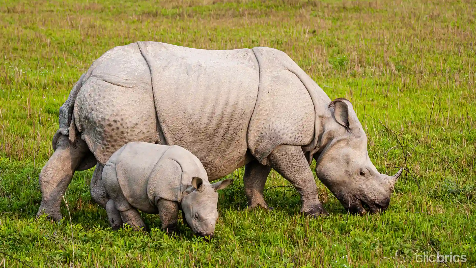 first national park in India